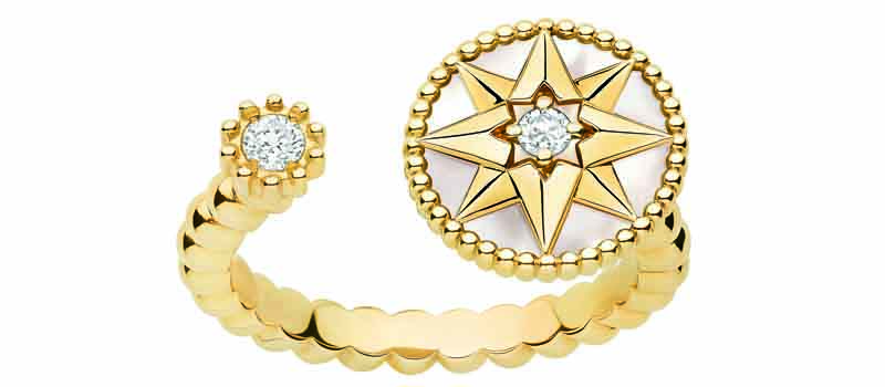 Fine jewellery reimagined: Dior Rose des Vents - DisneyRollerGirl